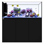 WATERBOX PENINSULA 6026 BLACK